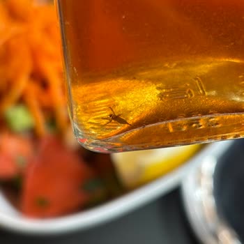 Siparişteki Salatada Böcek Şoku