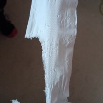 Проблема с разрывом туалетной бумаги Papia