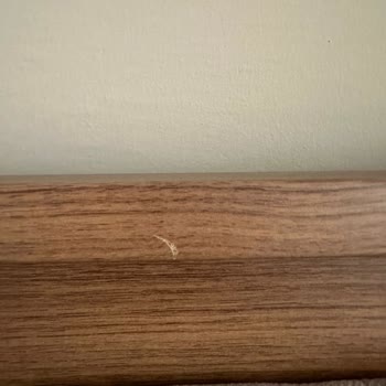 Bellona Yatak Başlığı Sorunu Çözülmüyor