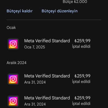 Instagram Doğrulama Rozeti Ödemesi Sorunu
