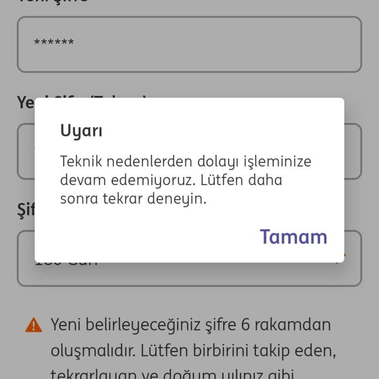 ING Bankası'nda Sürekli Erişim Sorunları Ve Çıkış İmkansızlığı