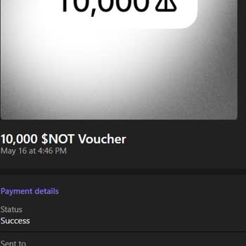 Missing Notcoin Transfer to Binance Wallet – Seeking Resolution