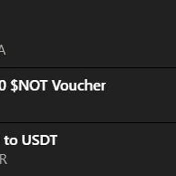 Missing Notcoin Transfer to Binance Wallet – Seeking Resolution