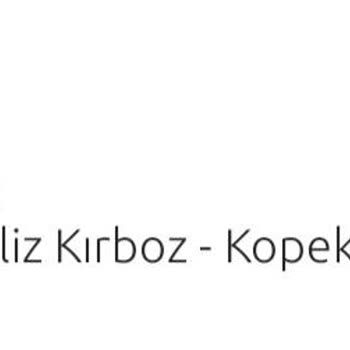 Sipariş Verdim, Ne Ürün Var Ne Para!