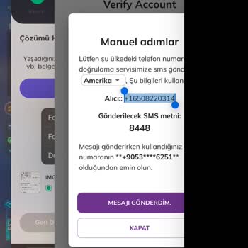 Pi Network'te Telefon Doğrulama Sorunu