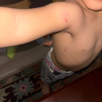 De Lluvia Cafe & Bistro Çocuk Parkında Güvenlik ve Personel Eksikliği