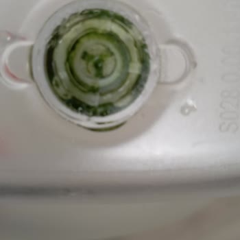 Brita Sürahimizde Yosunlaşma Problemi ve Temizlik Zorluğu