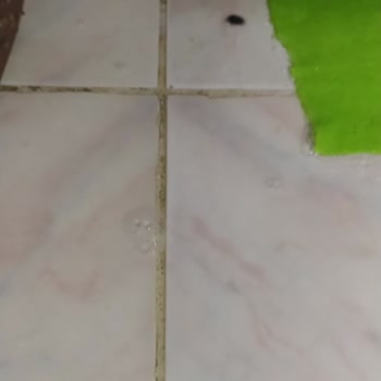 Beko Damaged My Washing Machine During Service and Refused to Replace It