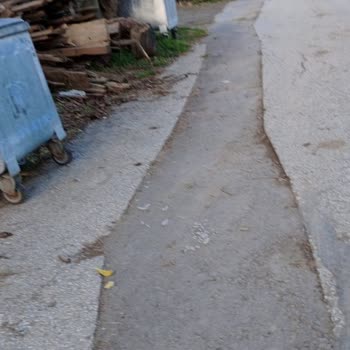 Hendek'te Çöp Konteyneri Krizi