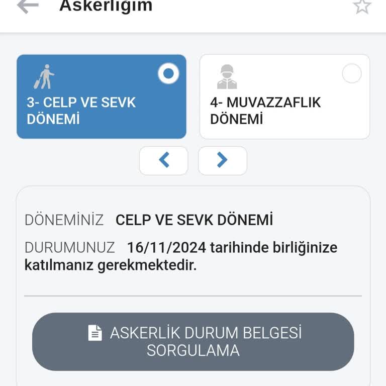 E-Devlet | Turkiye.gov.tr Askerlik Terhis Belgesi Sorunu: İş Başvurularında Engeller