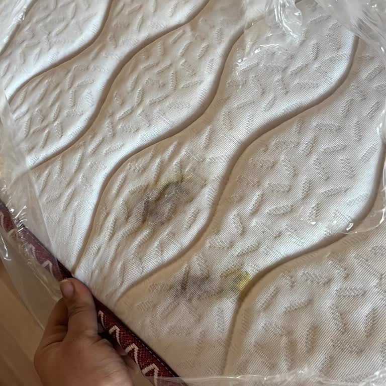 Yağmurlu Günde Gelen Yatak Kabusu: Leke Ve Zarar