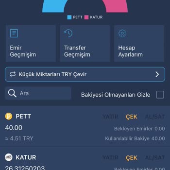 Bitexen'de Hesapta Para Kaybı Ve Güvensizlik