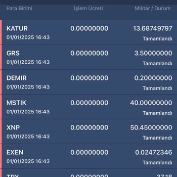 Bitexen'de Hesapta Para Kaybı Ve Güvensizlik