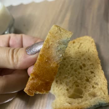 Taze Olmayan Ekmek Ve Sağlık Riski