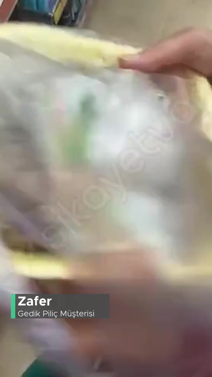 Gedik Piliç Tavuk Ciğerinin Bozuk Çıkması! videonun kapak resmi