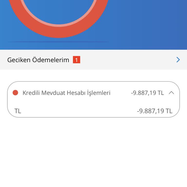 Beklenmedik Borç Bildirimi Ve Yetersiz Müşteri Hizmeti