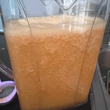 Garanti Kapsamında Blender Sorunu