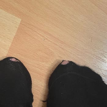 Katia & Bony Kaliteli Çorap Arayışımın Hayal Kırıklığı