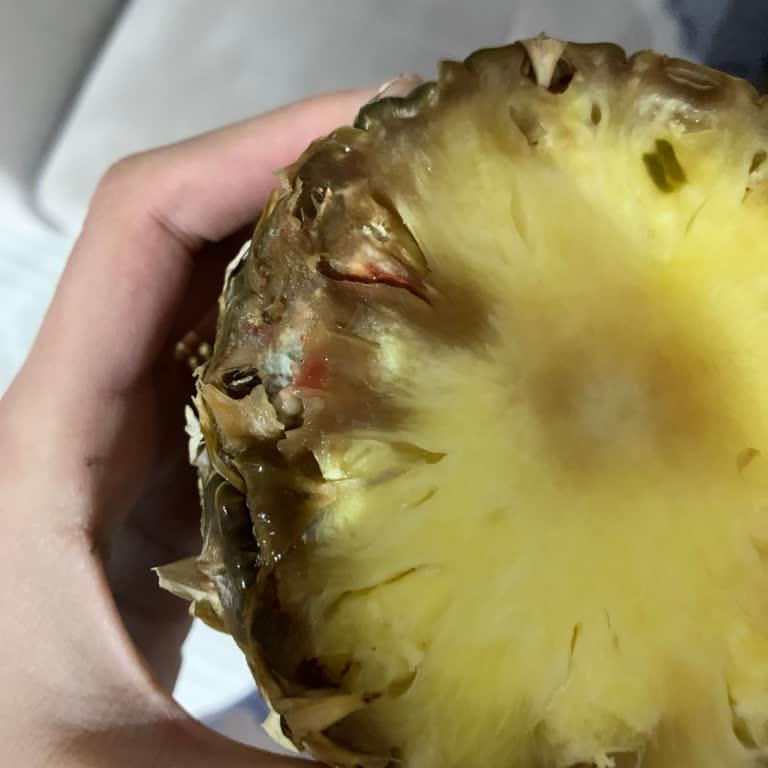 A101 Mağazasında Müşteri İlişkileri Ve Ürün Kalitesi Sorunu