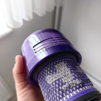 Dyson V11 Absolute Extra Filter Emits Mold Odor, Aggravating Allergies