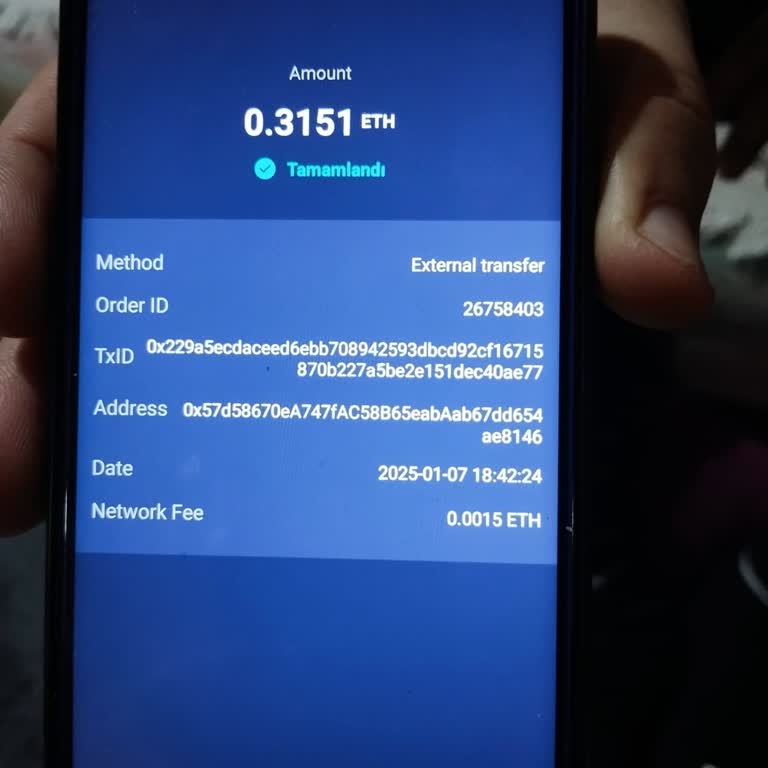 Hesabımdaki Coinler İzinsiz Satıldı Ve Çekildi!