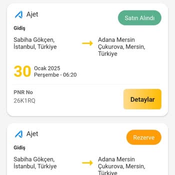Ucuzabilet'in Sistem Hatası Mağduriyeti