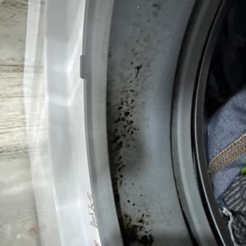 Bosch Çamaşır Makinesi Küf Sorunu