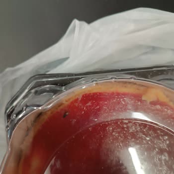 A101'den Aldığım Cheesecake İçinden Sinek Çıktı!