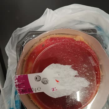 A101'den Aldığım Cheesecake İçinden Sinek Çıktı!