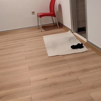 FTZ AVM Mescidinde İyileştirme Gerekliliği