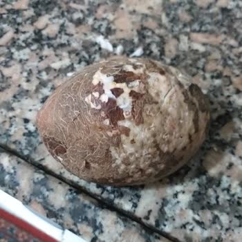 BİM Marketten Alınan Çürük Hindistan Cevizleri: Sağlık Riski Ve Kontrol Eksikliği