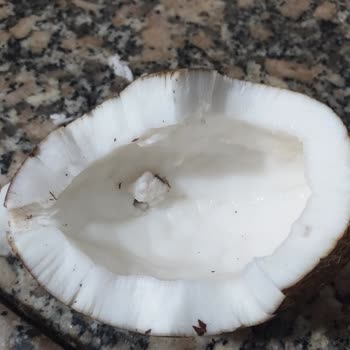 BİM Marketten Alınan Çürük Hindistan Cevizleri: Sağlık Riski Ve Kontrol Eksikliği