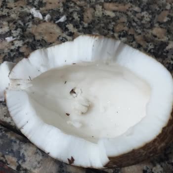 BİM Marketten Alınan Çürük Hindistan Cevizleri: Sağlık Riski Ve Kontrol Eksikliği