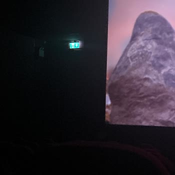 Sinema Salonunda Güvenlik Zafiyeti