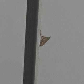 Kelebek Mobilya'dan Aldığımız Genç Odası Takımı Hayal Kırıklığı Yarattı