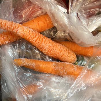 Bosch Buzdolabı Donma Sorunu Ve Etkisiz Servis Hizmeti