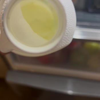 Bosch Buzdolabı Donma Sorunu Ve Etkisiz Servis Hizmeti