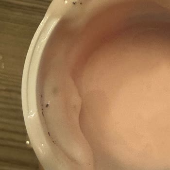 Danone Süprix Yoğurt Ambalaj Sorunu Ve Küf Şikayeti