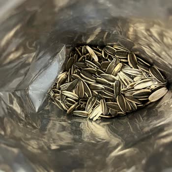 Çitlekçi Çekirdek Paketlerinde Sürekli Boş Tanelerle Karşılaşmak