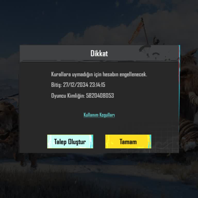 Oyun Dinar Satın Aldığım Hesap Cezalı Çıktı