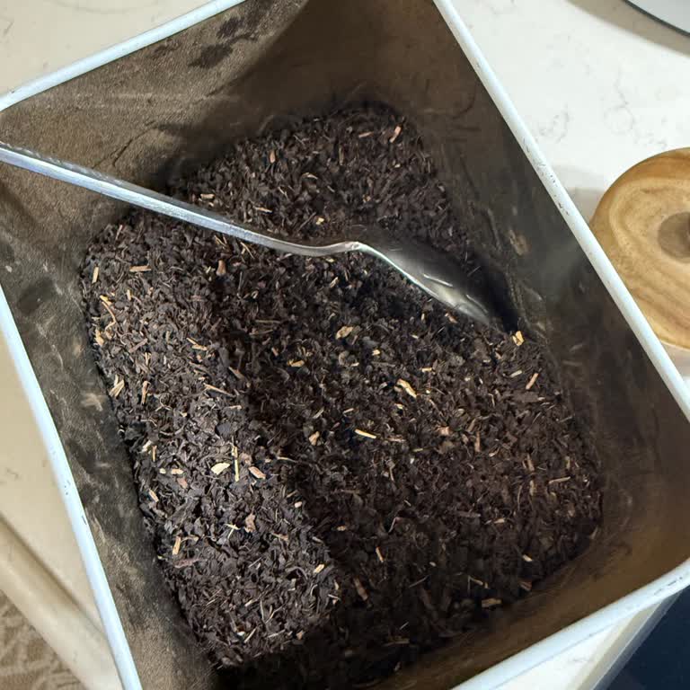 Çay Tadında Hayal Kırıklığı