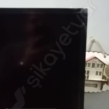 Sunny Kimse Yardımcı Olmuyor!