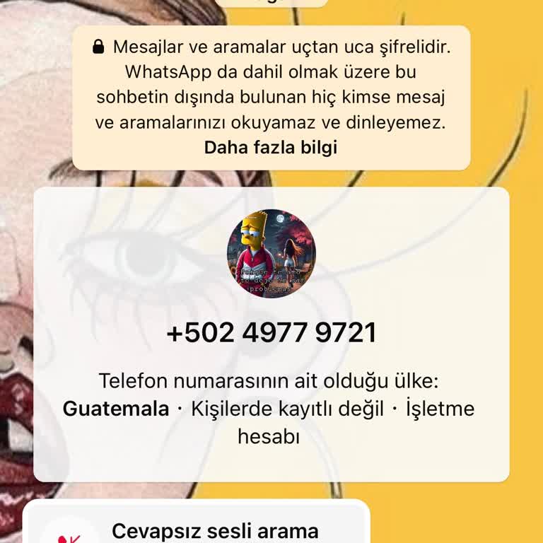 Bilinmeyen Numaradan Gelen Arama Ve Güvenlik Endişesi