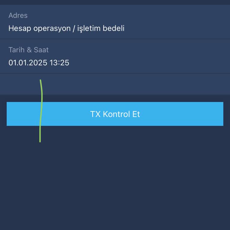 Hesap İşletim Bedeli Altında Kaybolan Varlıklar