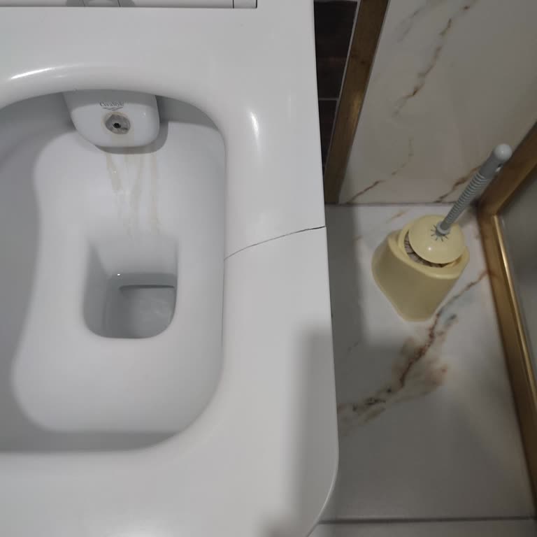 Klozet Kapağı Kırıldı: Kalite Beklentisi Karşılanmadı