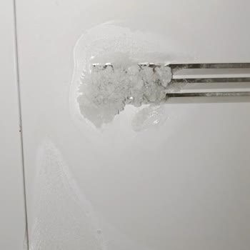 Vestel Buzdolabı: Müşteri Hizmetlerinde Hayal Kırıklığı Ve Güvenlik Endişesi