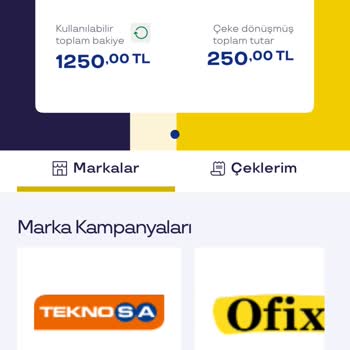 Pluxee Çekleri Kullanılamıyor: Çözüm Bekleniyor