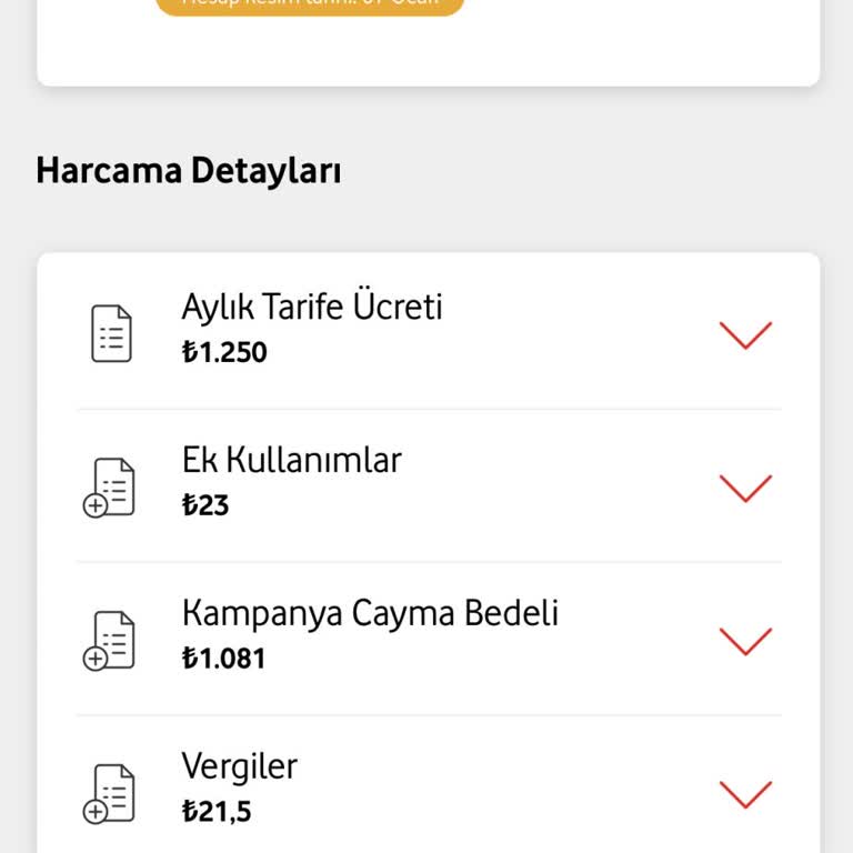 Vodafone Müşteri Hizmetlerine Erişim Sorunu Ve Beklenmedik Ücret