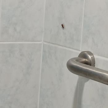 Hastane Temizlik Sorunu: Böceklerle Kaşıntılı Gece