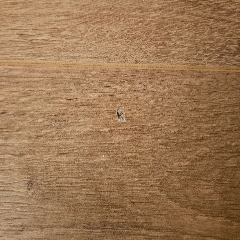 Çamsan Parke: Dayanıklılık Hayal Kırıklığı